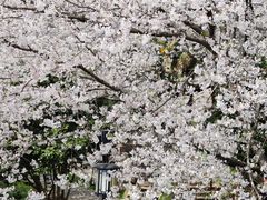 -苏州上方山国家森林公园