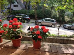 -香港大学