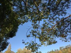 -天台山赤城山景区