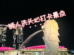 -圣淘沙天际线斜坡滑车