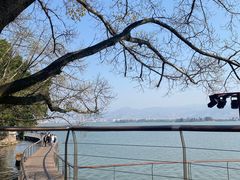 -西昌邛海湿地