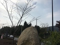 -龙寺生态园