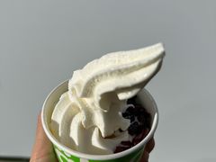 -Salud撒露欧洲冻酸奶(蓝色港湾店)