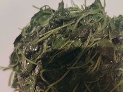 -宝燕海鲜(好爱店)
