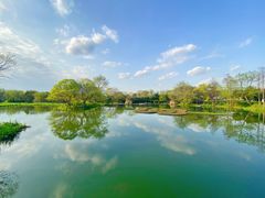 -西溪国家湿地公园