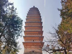 -洛阳白马寺