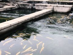 -天源渔港农庄