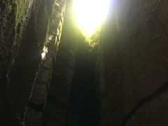 -梦幻奥陶纪景区