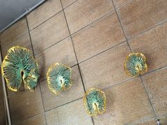 -金枝玉叶上海人家食府(三里河店)