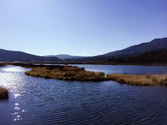景点-腾冲北海湿地