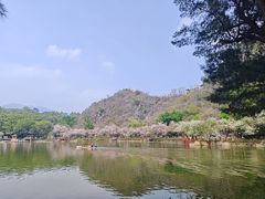 -星湖旅游景区七星岩