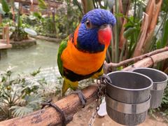 -南宫五洲植物乐园