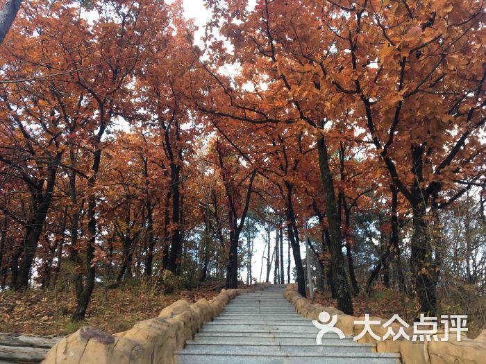 茂山公园-图片-通化周边游-大众点评网