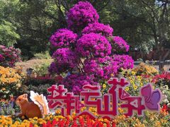 -广州市白云山风景名胜区