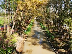 -上海长兴岛郊野公园