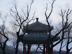 -颐和园