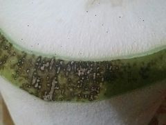 泰国椰青-水果天空(东葛店)