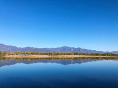 -野鸭湖国家湿地公园