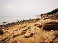 -深圳湾公园-停车场