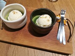 -柴务处·柴犬主题狗咖