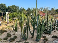 -东莞植物园