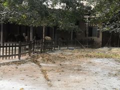 -南昌动物园
