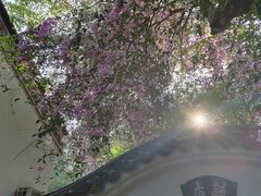 -深圳国际园林花卉博览园