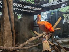 -长鹿旅游休博园