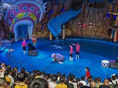 -烟台海昌鲸鲨海洋公园