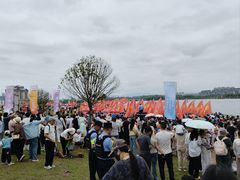 -九龙湖公园