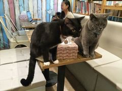 -小时光咖啡馆(开森度假森林店)