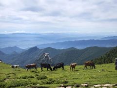 -芦芽山旅游度假区