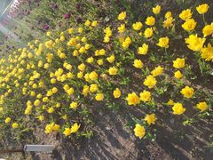 -长春公园(普阳街道)