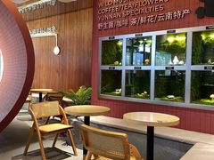 景观位-芸山季·云南野生菌火锅(宝能环球汇店)