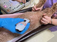 -瑞派康怡24h宠物医院·犬猫医疗中心·微创绝育(瑞景分院)