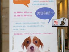 -北京观赏动物医院·24小时大型综合·猫专科·异宠专科