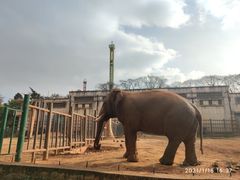 -昆明动物园