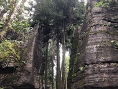 -梭布垭石林景区