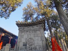 -关林
