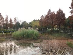-尚贤河湿地