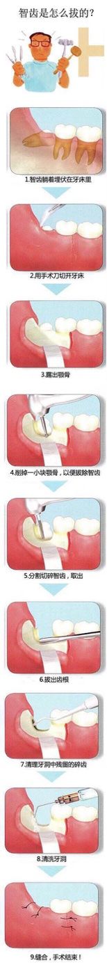 -同济大学附属口腔医院