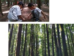 -山王坪喀斯特国家生态公园
