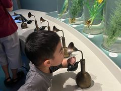 -中国湿地博物馆