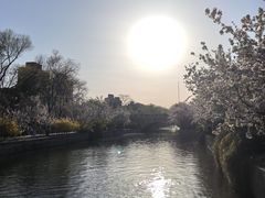 -元大都城垣遗址公园