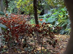 -水濂山森林公园