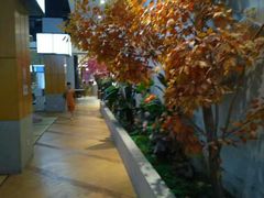 -丽池宫韩式汗蒸会馆(华灯坊店)
