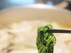 -烹然四季椰子鸡火锅(团结湖总店)