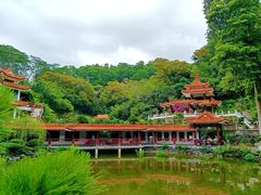 -深圳仙湖植物园-停车场