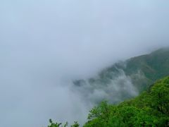 -大围山国家森林公园