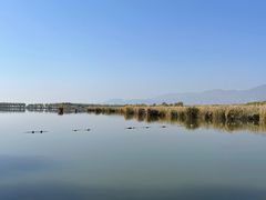 -野鸭湖国家湿地公园